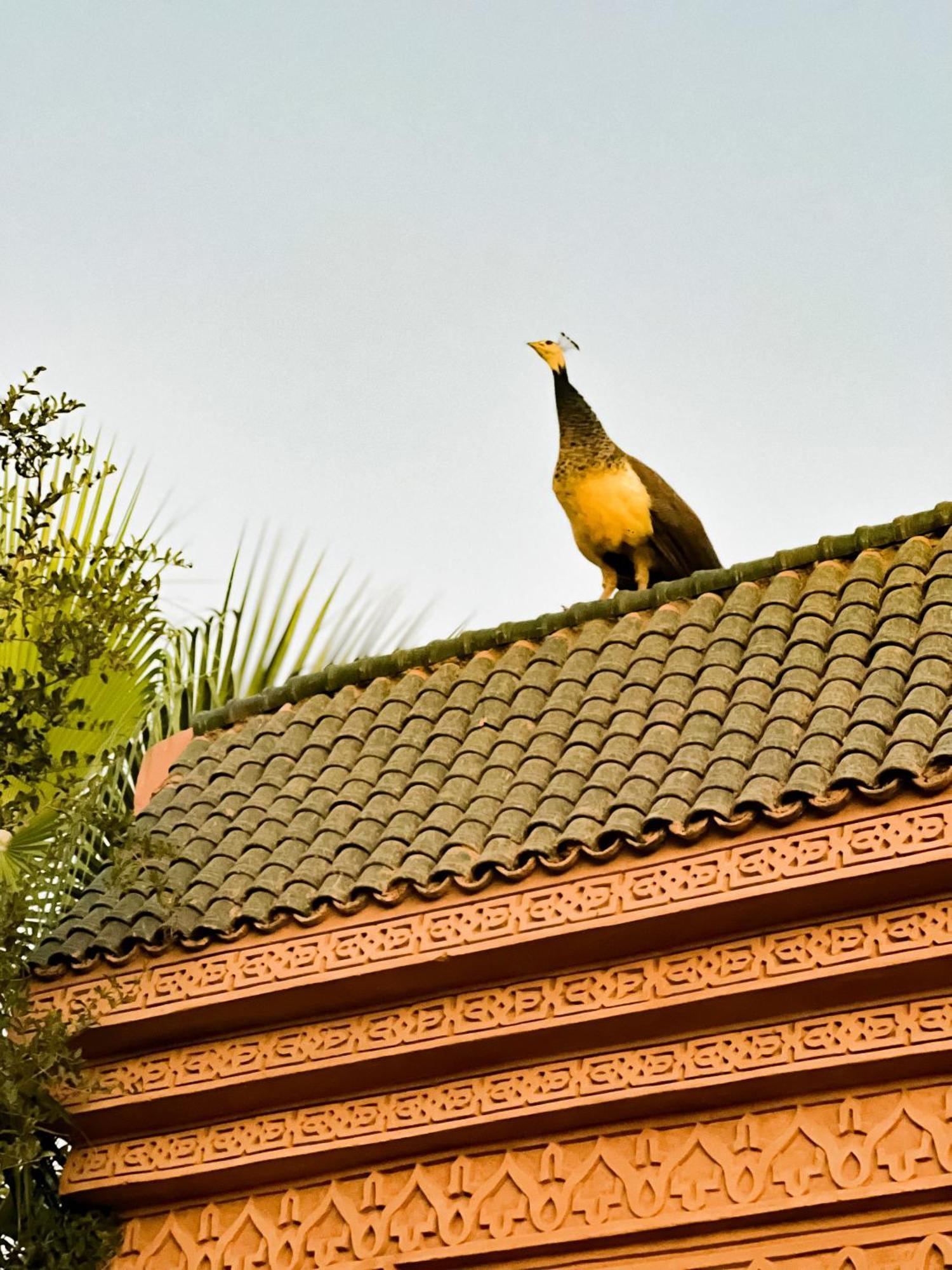 Guest House Qodwa Sidi Abdallah Ghiat Εξωτερικό φωτογραφία